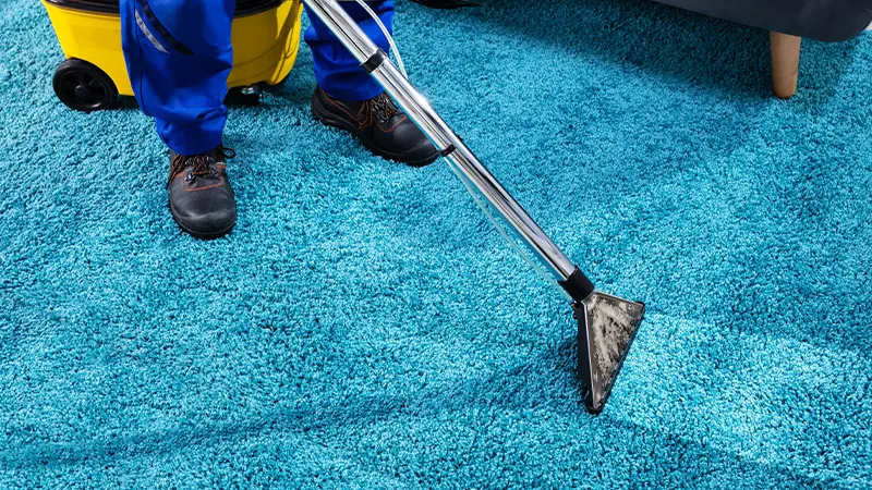 Ominta SA - Carpet Cleaning